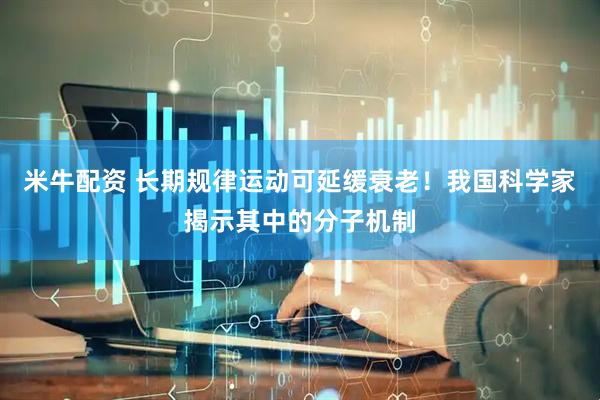 米牛配资 长期规律运动可延缓衰老！我国科学家揭示其中的分子机制