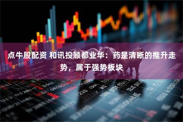 点牛股配资 和讯投顾都业华：药是清晰的推升走势，属于强势板块