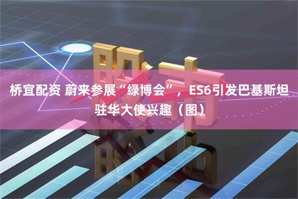 桥宜配资 蔚来参展“绿博会”,ES6引发巴基斯坦驻华大使兴趣(图)