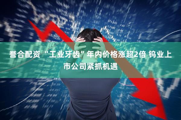 誉合配资 “工业牙齿”年内价格涨超2倍 钨业上市公司紧抓机遇