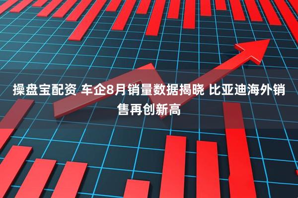 操盘宝配资 车企8月销量数据揭晓 比亚迪海外销售再创新高
